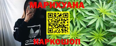 Альфа ПВП Новодвинск