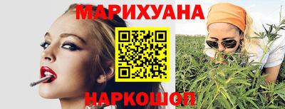 Альфа ПВП Новодвинск