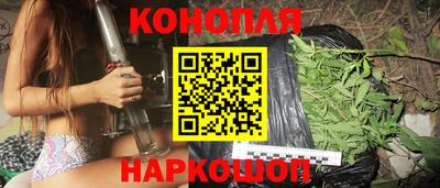 Альфа ПВП Новодвинск