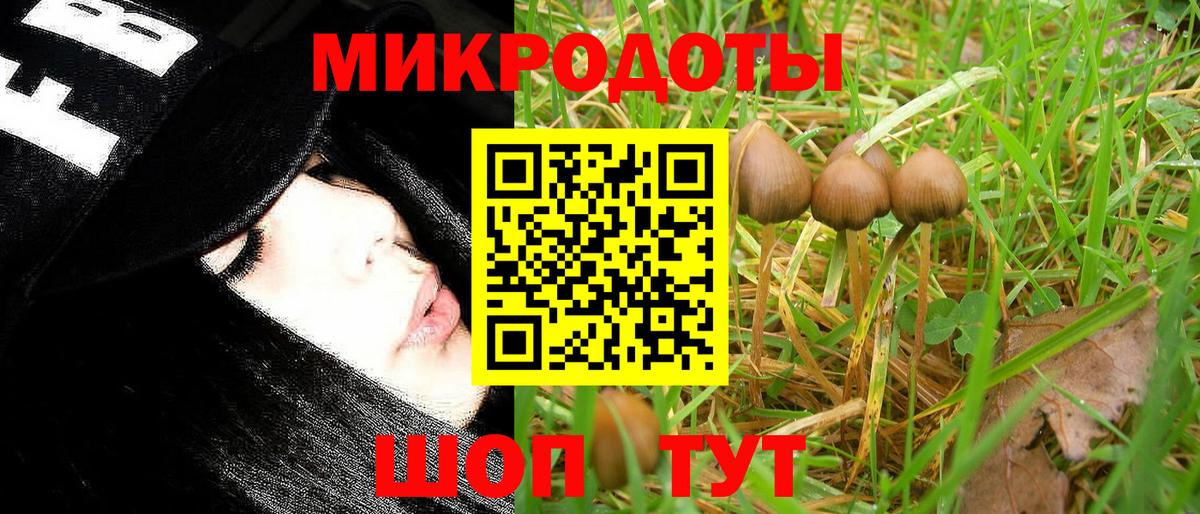 Псилоцибиновые грибы мухоморы Полысаево