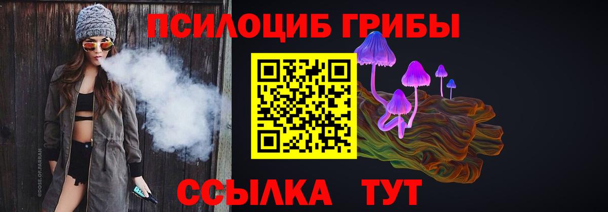 Полысаево  Галлюциногенные грибы Psilocybine cubensis  Вход с VPN 